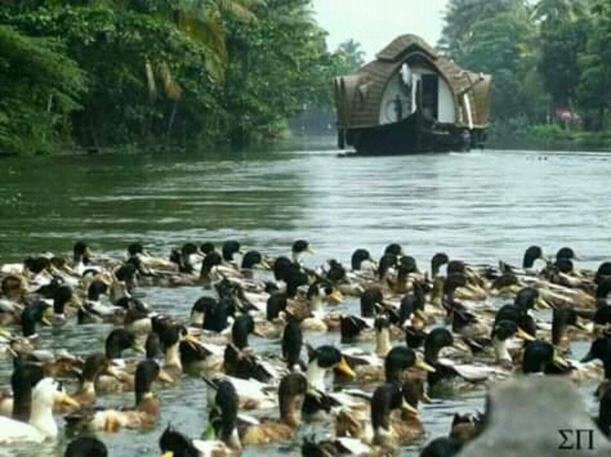 Rajatheeram Beach Homestay & Backwater Cruise Alleppey Alappuzha Kültér fotó